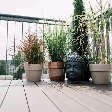 Rooftop Buddha Lounge - Im Dachgeschoss In Mit Waschmaschine Und Netflix